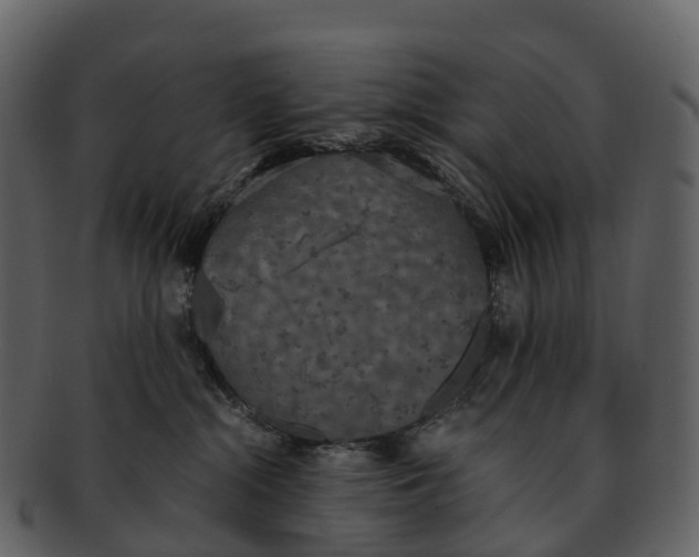 X0000092330284200710051320