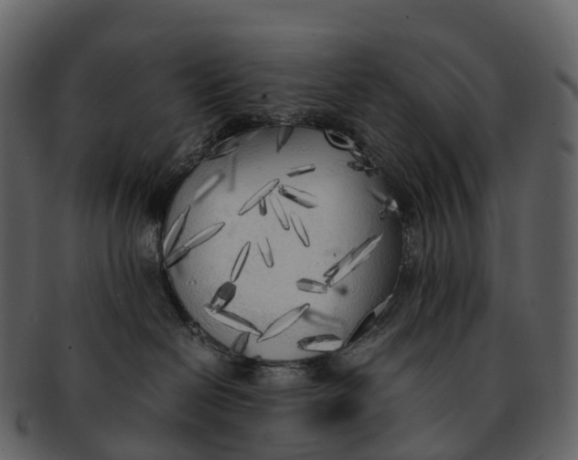 X0000092330286200710051320