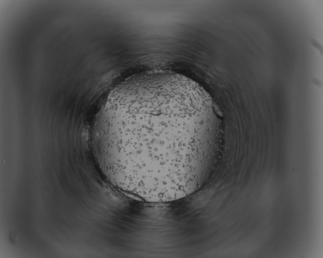 X0000092330288200710051320