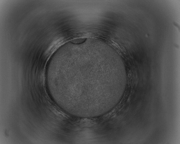 X0000092330290200710051320