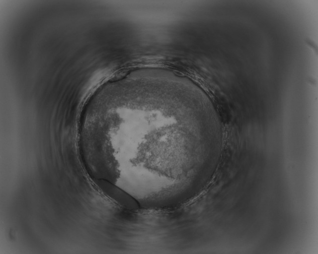 X0000092330293200710051320