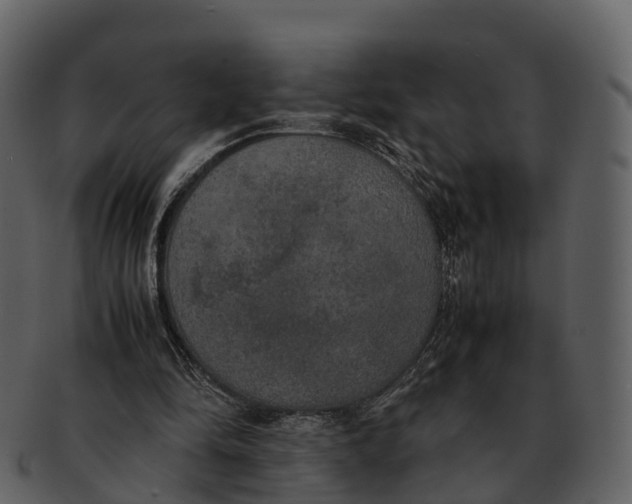 X0000092330294200710051320