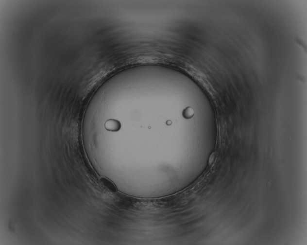 X0000092330297200710051320