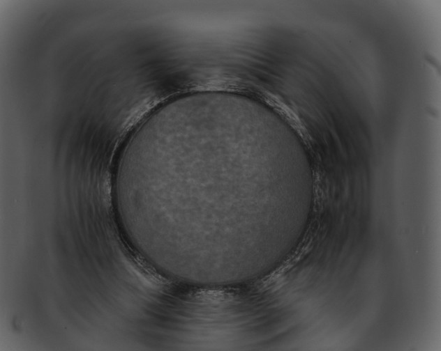 X0000092330298200710051320