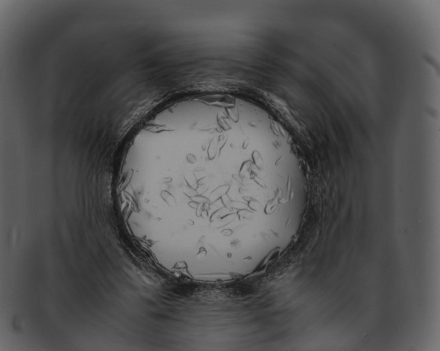 X0000092330299200710051320