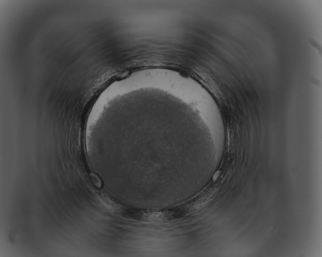 X0000092330301200710051320
