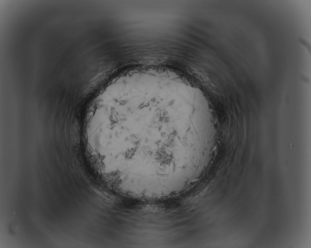 X0000092330303200710051320