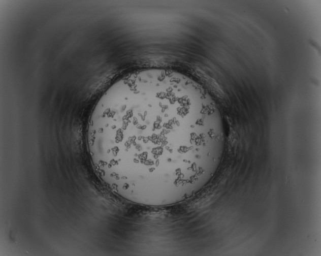 X0000092330306200710051320