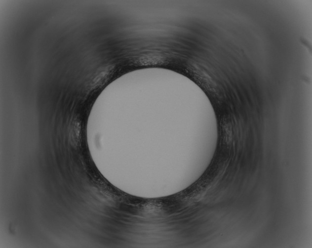 X0000092330308200710051319