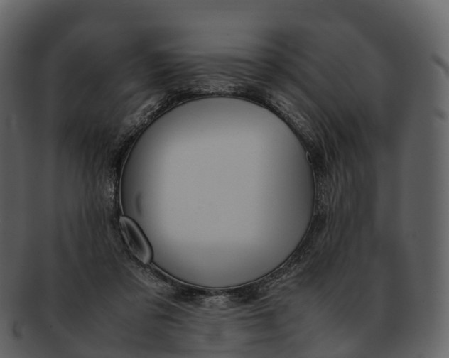 X0000092330309200710051319
