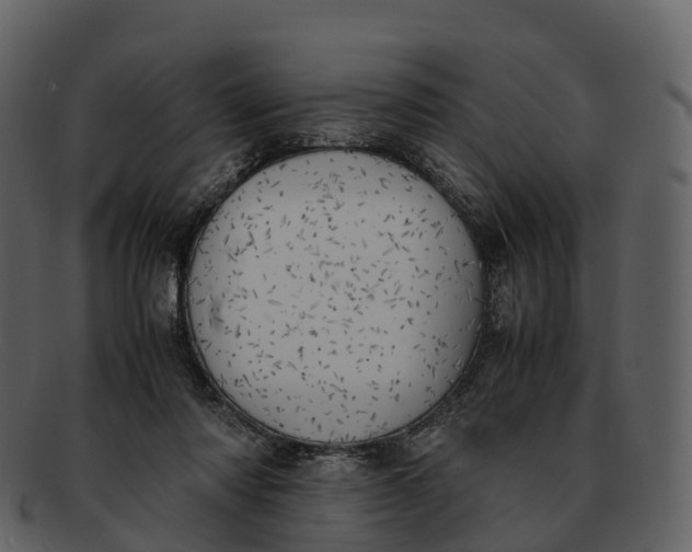 X0000092330310200710051319