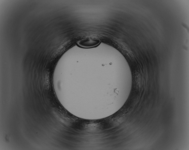 X0000092330312200710051319