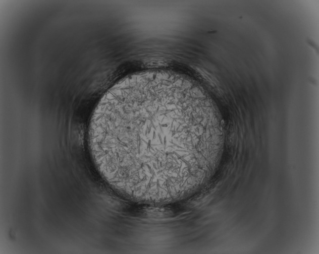 X0000092330315200710051319