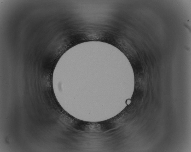 X0000092330317200710051319
