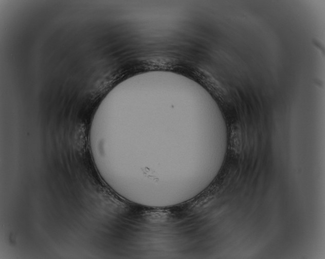 X0000092330318200710051319