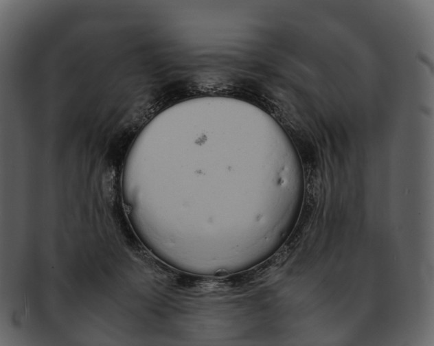 X0000092330319200710051319