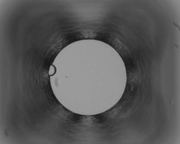 X0000092330321200710051319