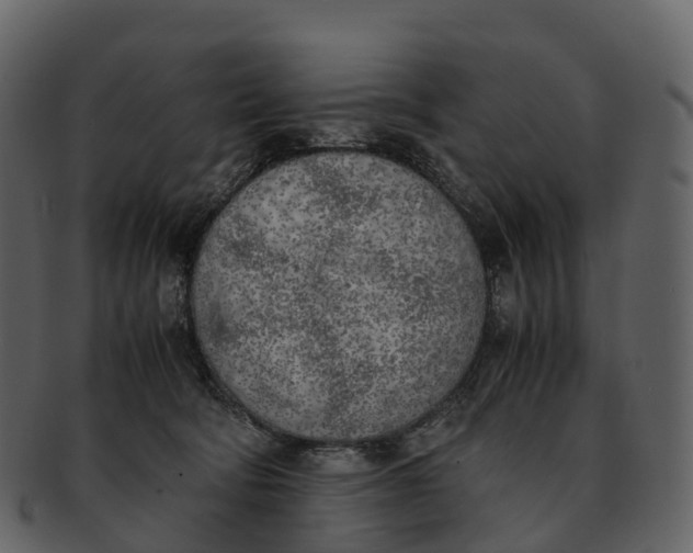 X0000092330322200710051319