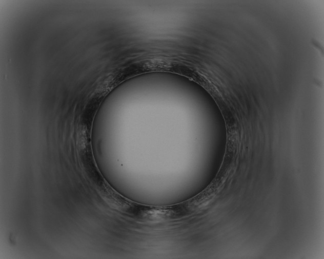X0000092330323200710051319