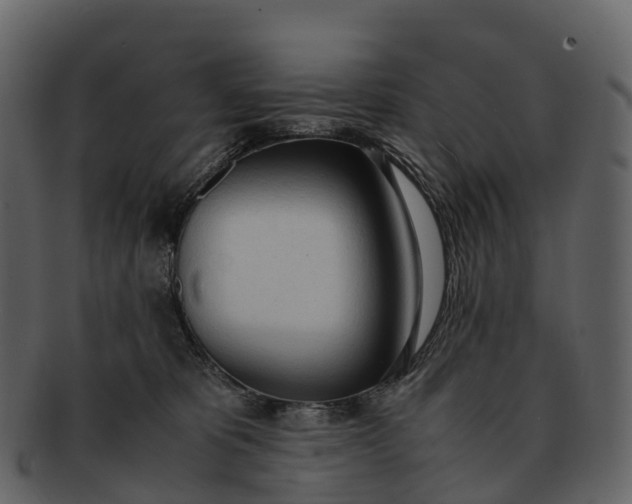 X0000092330325200710051319