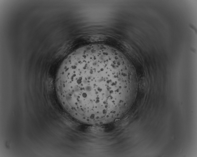 X0000092330327200710051319