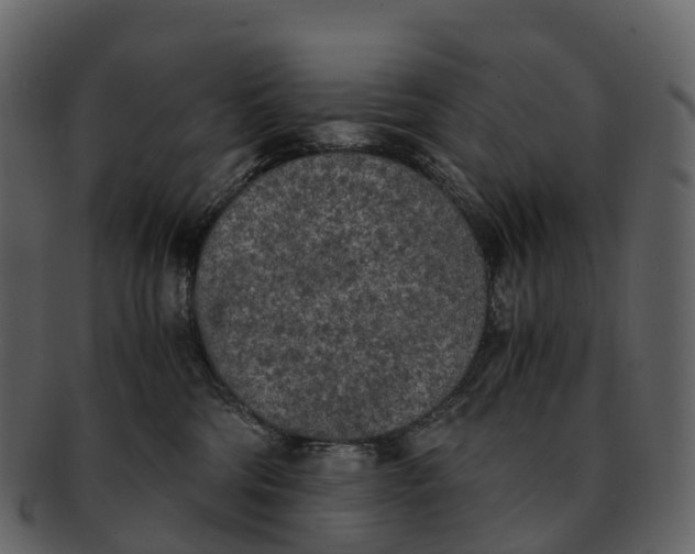 X0000092330330200710051319