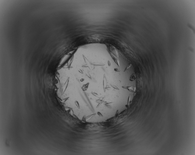 X0000092330331200710051319