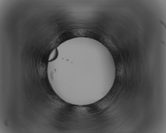 X0000092330332200710051319