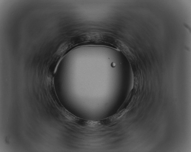 X0000092330333200710051319