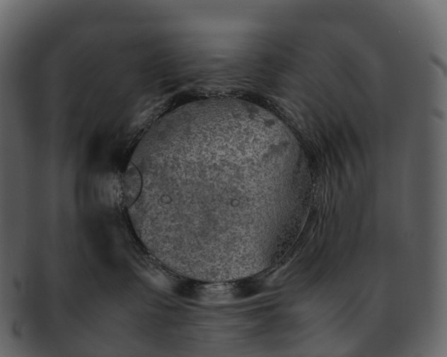 X0000092330335200710051319