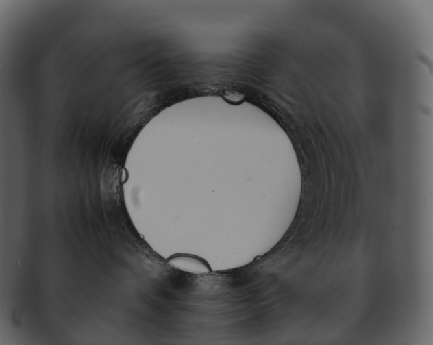 X0000092330336200710051319