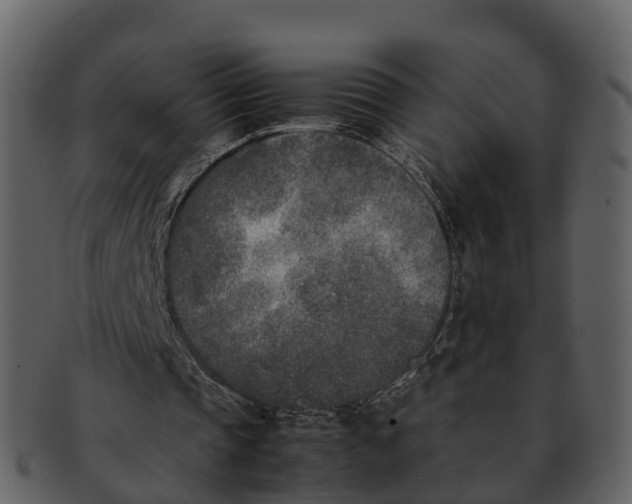X0000092330337200710051319
