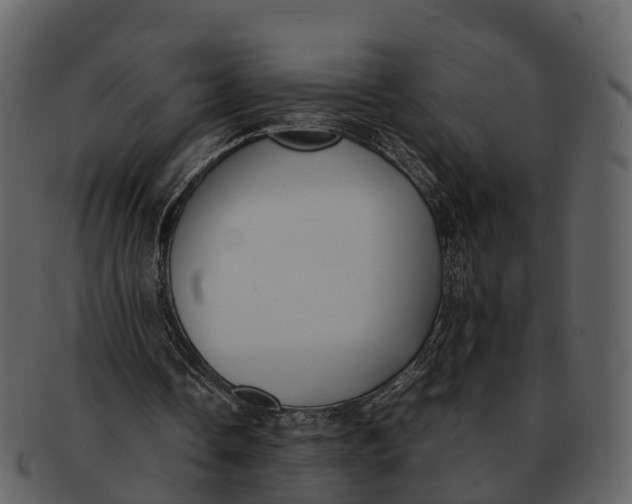 X0000092330338200710051319