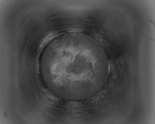 X0000092330339200710051319