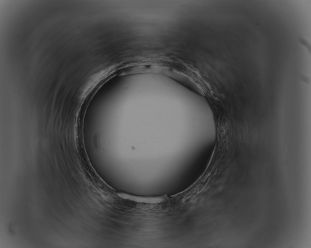 X0000092330340200710051319