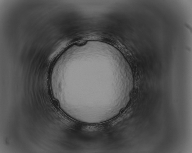 X0000092330341200710051319