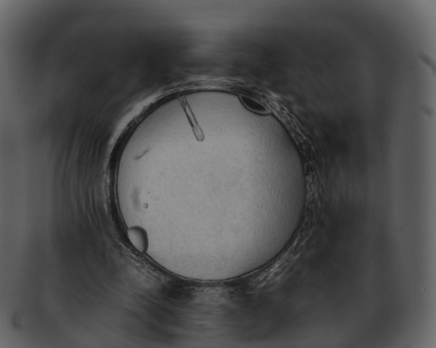 X0000092330342200710051319