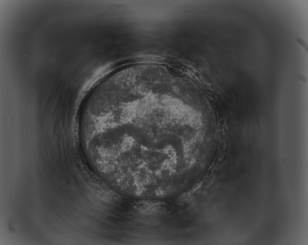 X0000092330343200710051319