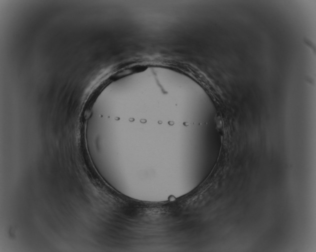 X0000092330344200710051319
