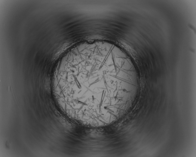 X0000092330345200710051319