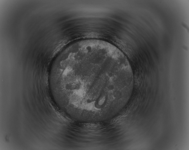 X0000092330347200710051319