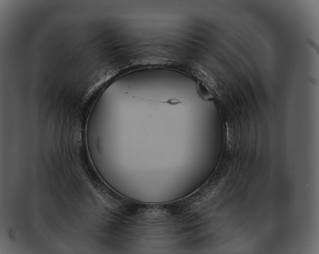 X0000092330348200710051319