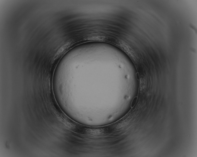 X0000092330349200710051319