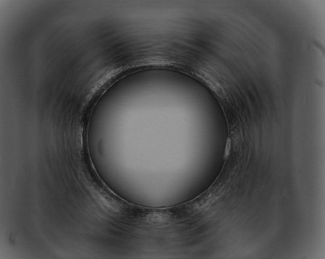 X0000092330350200710051319