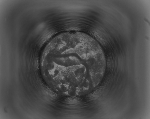X0000092330351200710051319