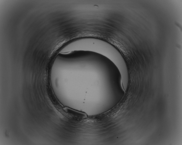 X0000092330352200710051319