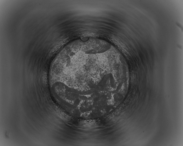 X0000092330353200710051319