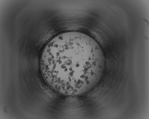 X0000092330354200710051319