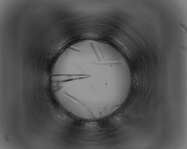 X0000092330355200710051319