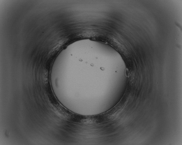X0000092330356200710051319